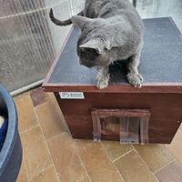 photo de livraison pour L'Arche de la Gazelle