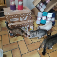 photo de livraison pour Les Petites Bouches