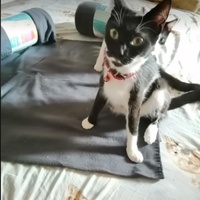 photo de livraison pour L'Espoir d'une Seconde Chance