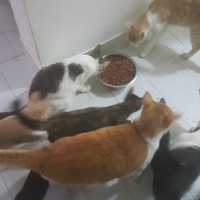 photo de livraison pour Ghita Muller El Jirari