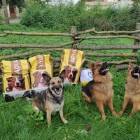 photo de livraison pour Programme alimentaire Animal Webaction