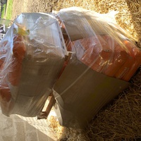 photo de livraison pour Les Chevaux d'Elo