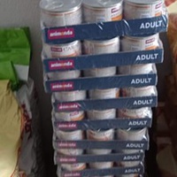 photo de livraison pour Les Chats de la Rue