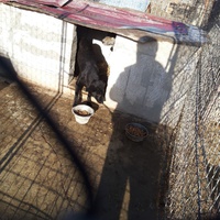 photo de livraison pour Depend on Us - Asociatia Depind de Noi