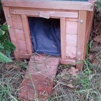 photo de livraison pour Les Chats Libres de la Canterrane