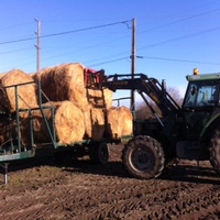 photo de livraison pour Cheval Espoir 33