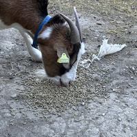 photo de livraison pour L'Arche de MaCha