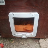 photo de livraison pour Les Chats-Pitresdelavi-Ste