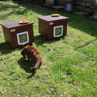 photo de livraison pour SOS Chats Libres Haut-Béarn