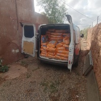 photo de livraison pour L'Arche de Noé