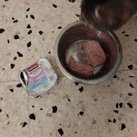 photo de livraison pour Chats Grains d'Amour