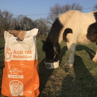 photo de livraison pour Espoir au Galop