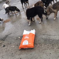photo de livraison pour Anca Timpeanu