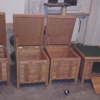photo de livraison pour Les Chats Errants Du Montargois