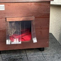 photo de livraison pour Chat Gratouille