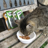 photo de livraison pour Jardin des Chats
