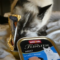 photo de livraison pour Jardin des Chats
