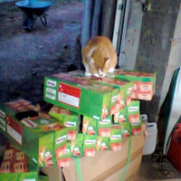 photo de livraison pour Arche de Véra