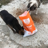 photo de livraison pour Anca Timpeanu