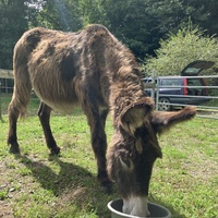 photo de livraison pour ADADA