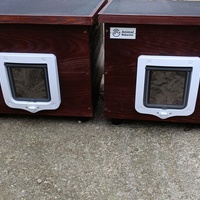 photo de livraison pour Cat Miaou