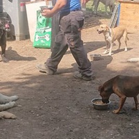 photo de livraison pour Svetlana Bjelogrlic