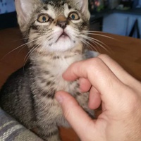 photo de livraison pour Dans les yeux de Leo
