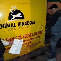 photo de livraison pour Ivana Nikolić