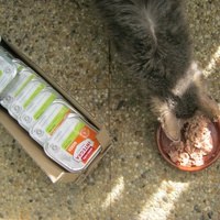 photo de livraison pour Au Bonheur des Chats Libres