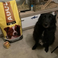 photo de livraison pour Programme alimentaire Animal Webaction