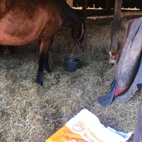 photo de livraison pour Espoir au Galop