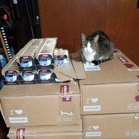 photo de livraison pour Chat de Gout'hier sans Toit