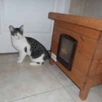 photo de livraison pour La Tribu de LOLA