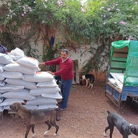photo de livraison pour Help Adopt Moroccan Animals