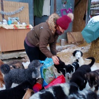 photo de livraison pour Asociatia Save A Life - Salvează O Viata