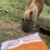 photo de livraison pour Espoir au Galop