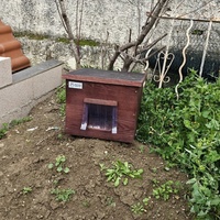 photo de livraison pour L'Arche de la Gazelle