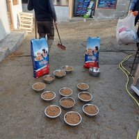photo de livraison pour UZZŽ "Sretna Šapa"