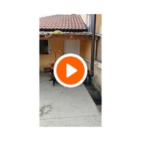 photo de livraison pour Društvo za zaštitu životinja "Bela"