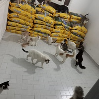 photo de livraison pour Ghita Muller El Jirari