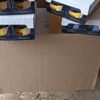 photo de livraison pour Le Gang des Matous