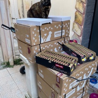 photo de livraison pour Association des Chats Camarguais