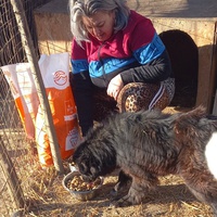 photo de livraison pour Ramona Ciprian Rotunjeanu