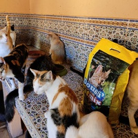 photo de livraison pour Le Coeur sur la Patte