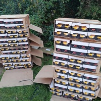 photo de livraison pour Les Chats de la Rue