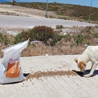 photo de livraison pour Sanctuaire de la Faune de Tanger (SFT)