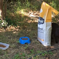 photo de livraison pour Ecole du Chat des Alpilles