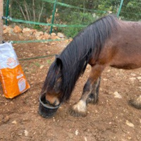 photo de livraison pour Equi-Vivre