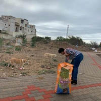 photo de livraison pour 4 Pattes Mogador