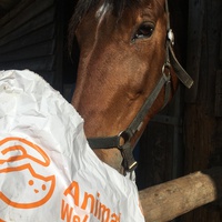 photo de livraison pour Espoir au Galop